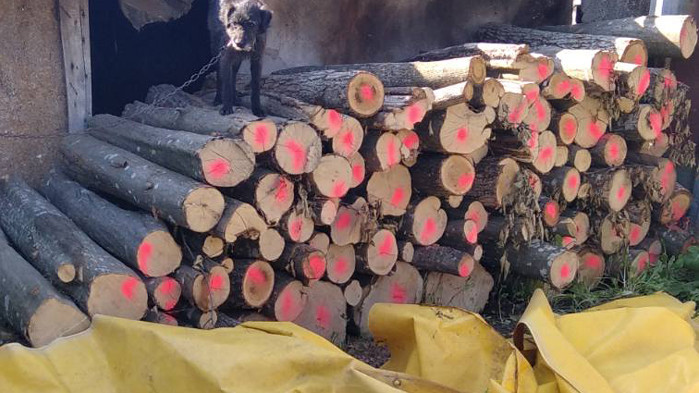 Над 200 пр. куб. м. незаконни дърва за огрев са открити в частни домове в еленското село Майско