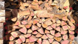 Над 200 пр. куб. м. незаконни дърва за огрев са открити в частни домове в еленското село Майско
