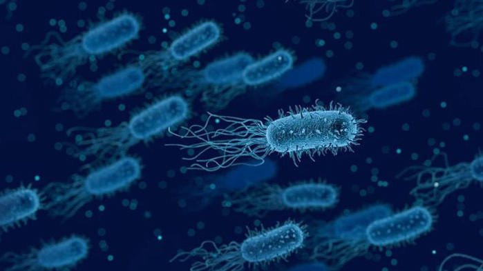 Китайски учени изолираха непознат щам морски бактерии с уникални характеристики,