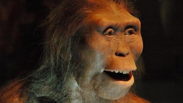 Ходил ли е първият човек Люси изправен още преди 3.2 милиона години