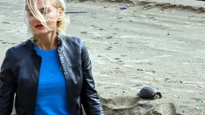 Докато се смеем за ботушките“ и костенурките“ на министъра на