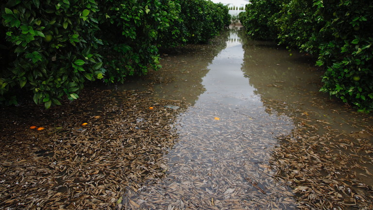 Полицията и спасителните служби откриха телата на двама мъже, изчезнали