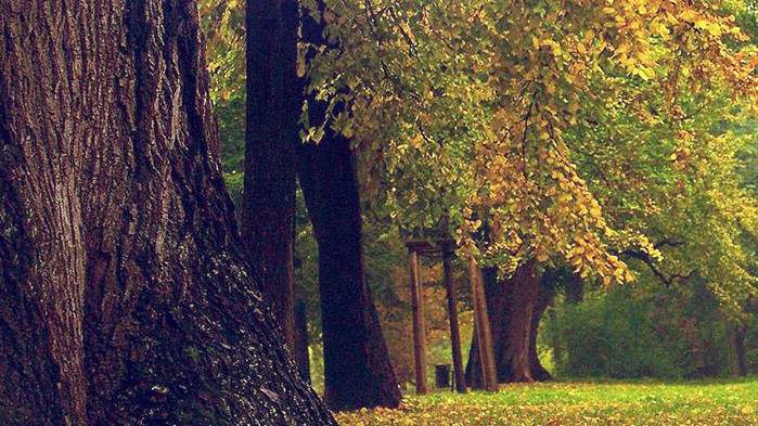 Овен От сутринта ще се чувствате малко несигурни. Не се