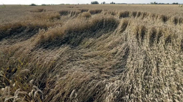 Полша ще поиска от ЕС да удължи забрана за внос на украинско зърно