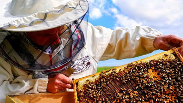 Пчелари също се присъединяват към протеста на зърнопроизводителите. Те са