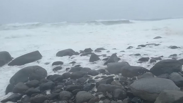 Гъста пяна покри плаж в Нова Скотия (ВИДЕО)