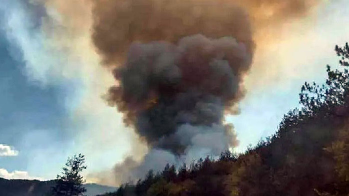 Пожар край Аксаково изпепели 6 дка горска територия