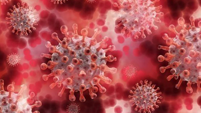 143 нови случая на коронавирус у нас, един е починал