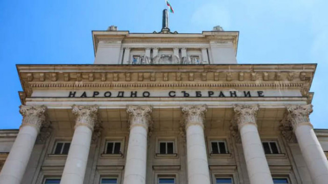 На първо четене приеха три законопроекта за българското гражданство