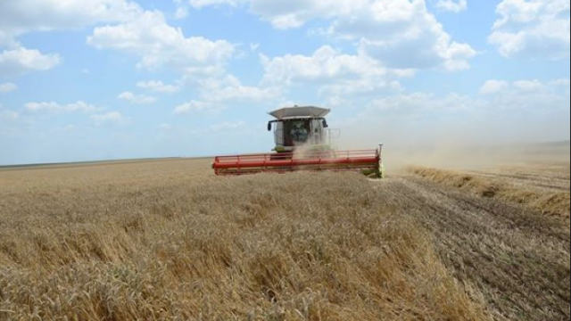 Украйна въвежда механизъм за износ на селскостопански стоки за България и Румъния