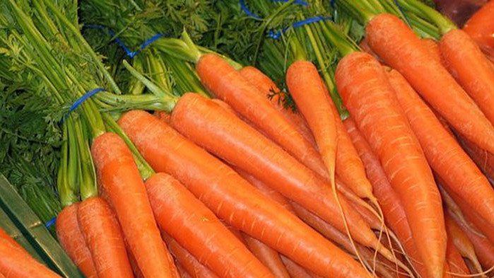 Учени установиха, че оранжевият цвят на морковите се дължи на