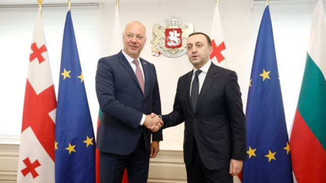 Борисов, Петков и Пеевски с декларация в подкрепа за влизането на Грузия към ЕС