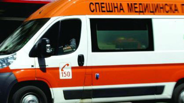 Линейка, превозваща пациент, блъсна кон на пътя между Кюстендил и