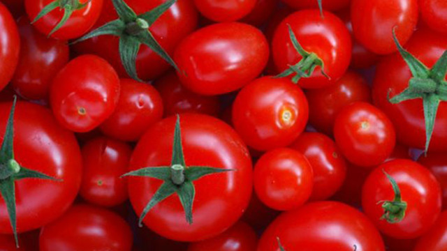 Българските сортове домати значително превъзхождат чуждестранните по вкусови качества и