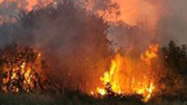 Кошмарна неделя за огнеборците в Търновско: 22 пожара погълнаха сгради и фураж