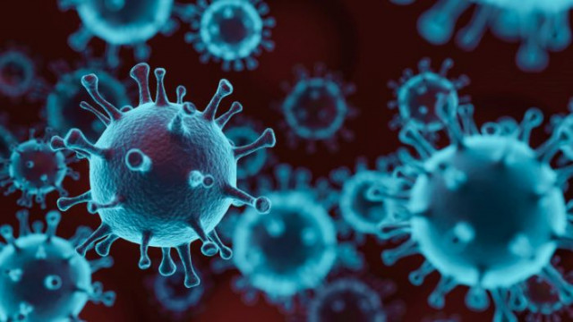 550 са новите случаи на коронавирус у нас Направени са