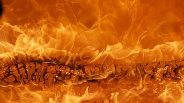 Общо 148 пожара са загасени в страната през изминалото денонощие