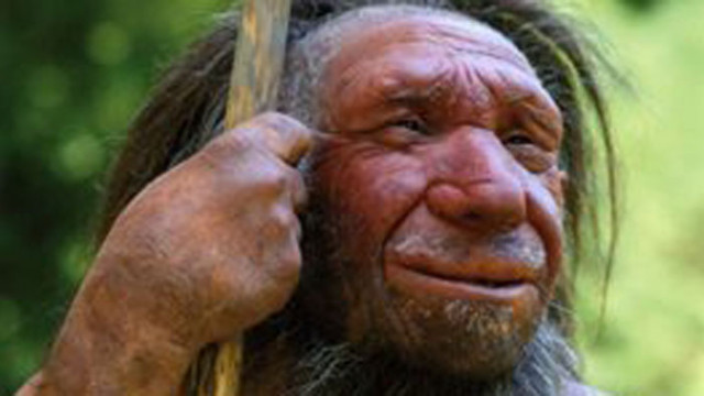 Неандерталците са ловували пещерни лъвове и са използвали козината им