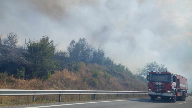 Голям пожар гори край село Невша