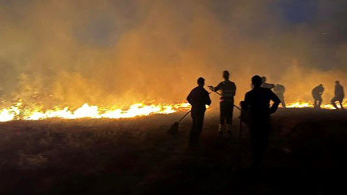Рекордните октомврийски жеги подпалиха горски пожари