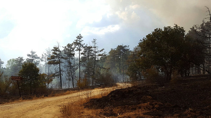 1200 декара са изпепелени при пожара край Костинброд