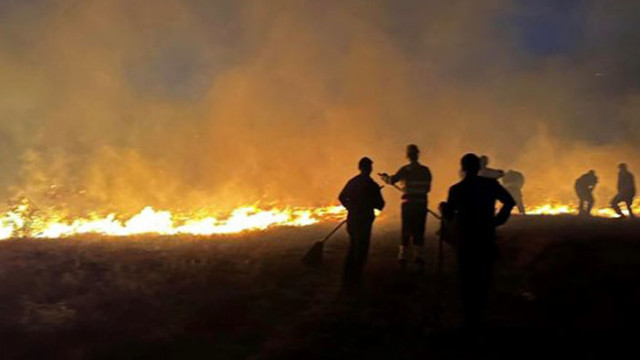Общо 160 пожара са ликвидирани през последното денонощие в страната