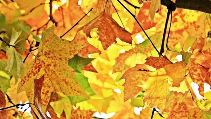 По-топло от обичайното ще е времето и през ноември в