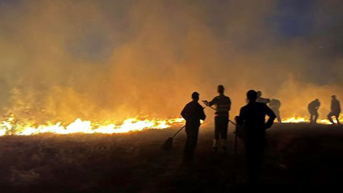 Общо 48 пожара са потушени в страната през изминалото денонощие,