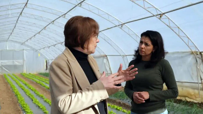 Най-сетне стигнах до Троян! Ето така изглежда част от зеленчуковата