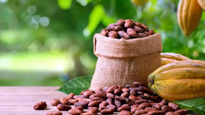 Цената на какаото счупи 50-г. рекорд, очаква се ефектът на доминото да качи цените на шоколада