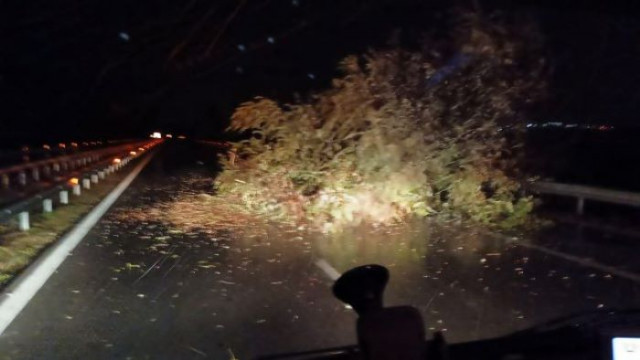 Ураганът Фредерик взе жертва във Варна стотици паднали дървета клони