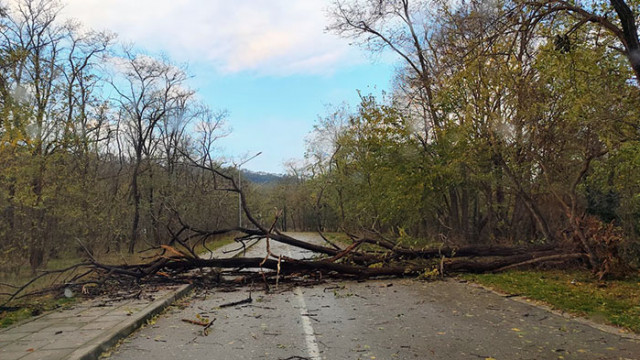 Източна България постепенно се възстановява след ураганния вятър във Варна