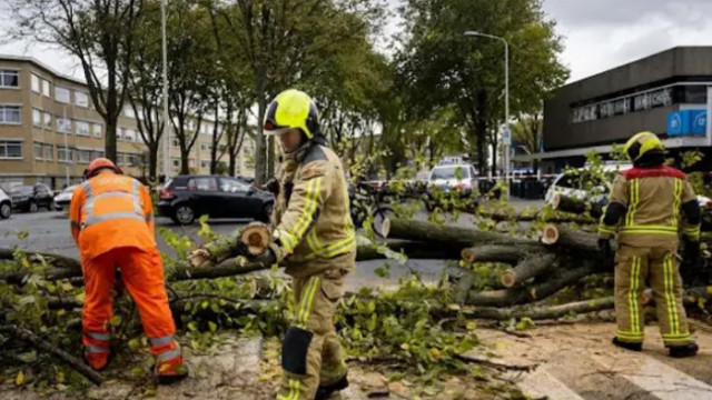 Бурята „Кириан“ нанесе 100 млн. евро разходи за застрахователите в Белгия