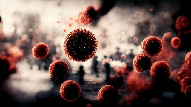 205 са новите случаи на коронавирус у нас