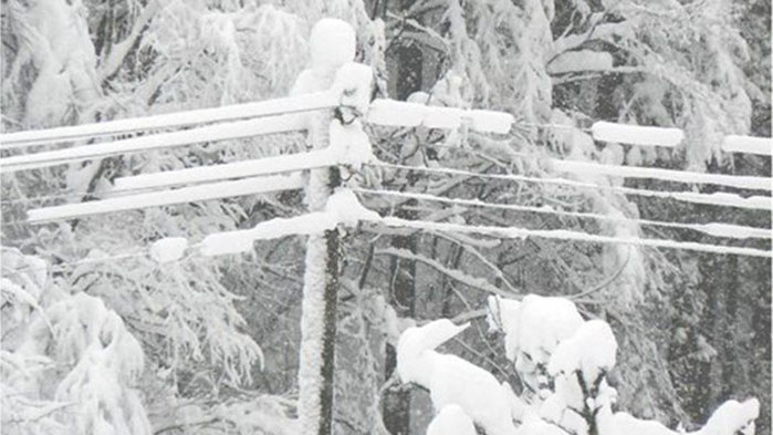 Бездомник е загинал заради минусовите температури в Казанлък, потвърдиха от