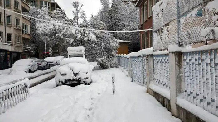 Учениците от над 280 училища в тринадесет области на страната