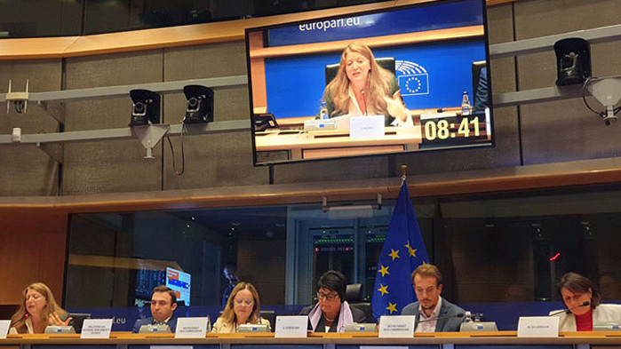 Депутатът от СДС-Варна доц. Медиха Хамза участва в заседание на ККО на Европарламента