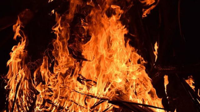Общо 42 пожара са загасени в страната през изминалото денонощие