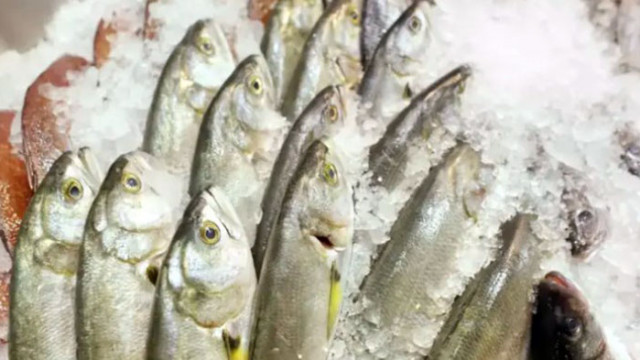 Какво е състоянието на охладената риба и на рибните продукти