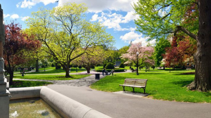 Сгушен в центъра на Бостън, едноименният парк е най-старият в