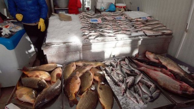 Дългогодишен рибар: Шаранът си е шаран, край морето без черноморска риба за Никулден не може