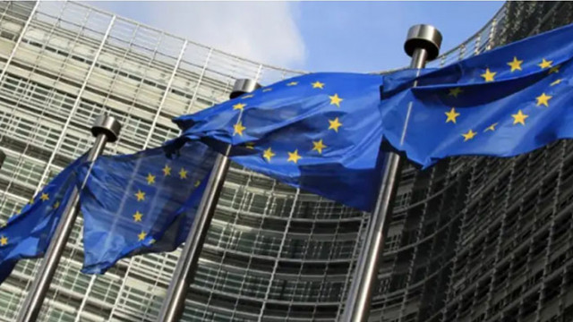 Европейската комисия определи като положително развитие предложението на Австрия за отпадане на