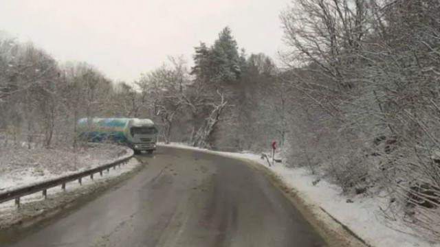 Заради обилен снеговалеж временно е ограничено движението на товарни автомобили