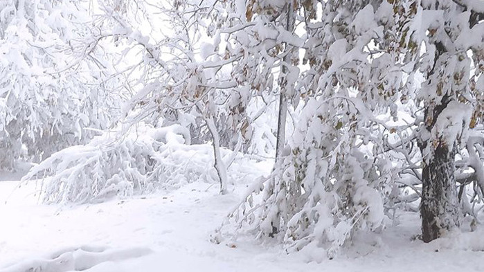 Мъж на 55 години е намерен починал тази сутрин в