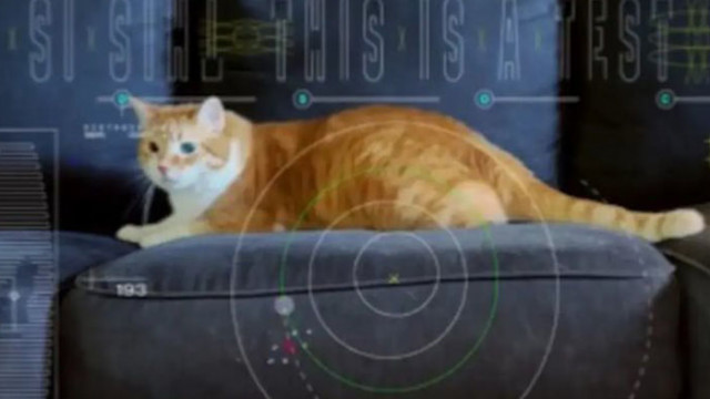 НАСА излъчи видео с котка от далечния космос