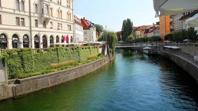 Словенската столица Любляна ще похарчи 6500 евро за фойерверки за