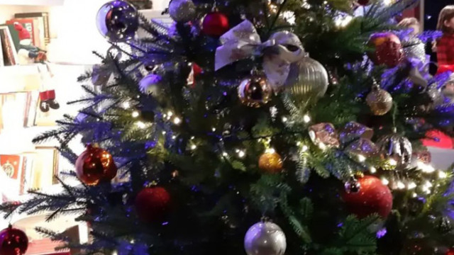 Над 2 550 000 лева достигнаха даренията за „Българската Коледа”