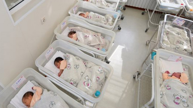 Дванайсет бебета са се родили на Бъдни вечер на 25