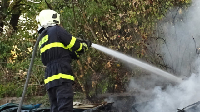 Тийнейджъри подпалиха дърво с пиратки в Пловдив