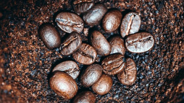 За по-добър вкус на кафето - навлажнявайте зърната преди смилане